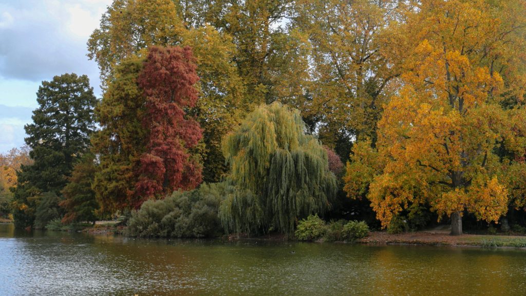 Colorful autumn trees reflecting in a serene lake at Vincennes, France.